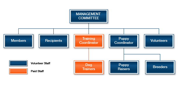Committee Organisational Structure Diagram Group Structure